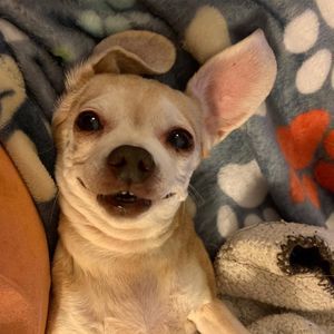 Meet your Posher, Jenny